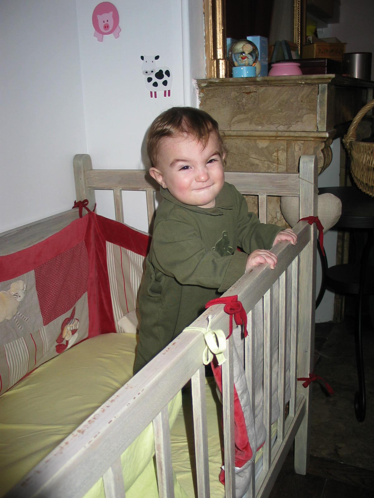 IMG_8981.JPG