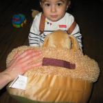 IMG_9050.JPG