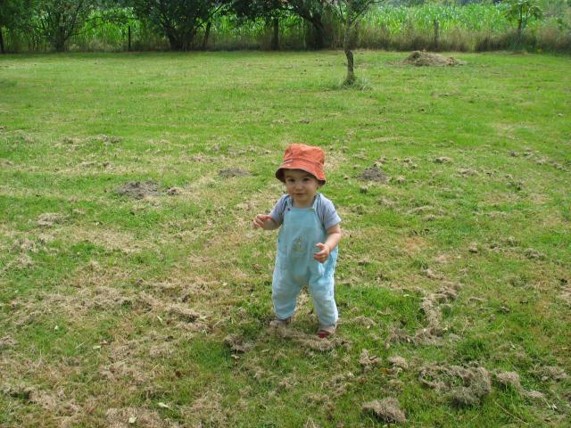 img_9776.jpg