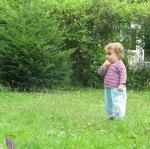 img_9824.jpg