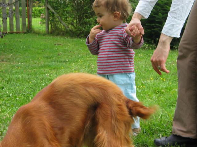 img_9829.jpg