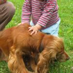 img_9844.jpg