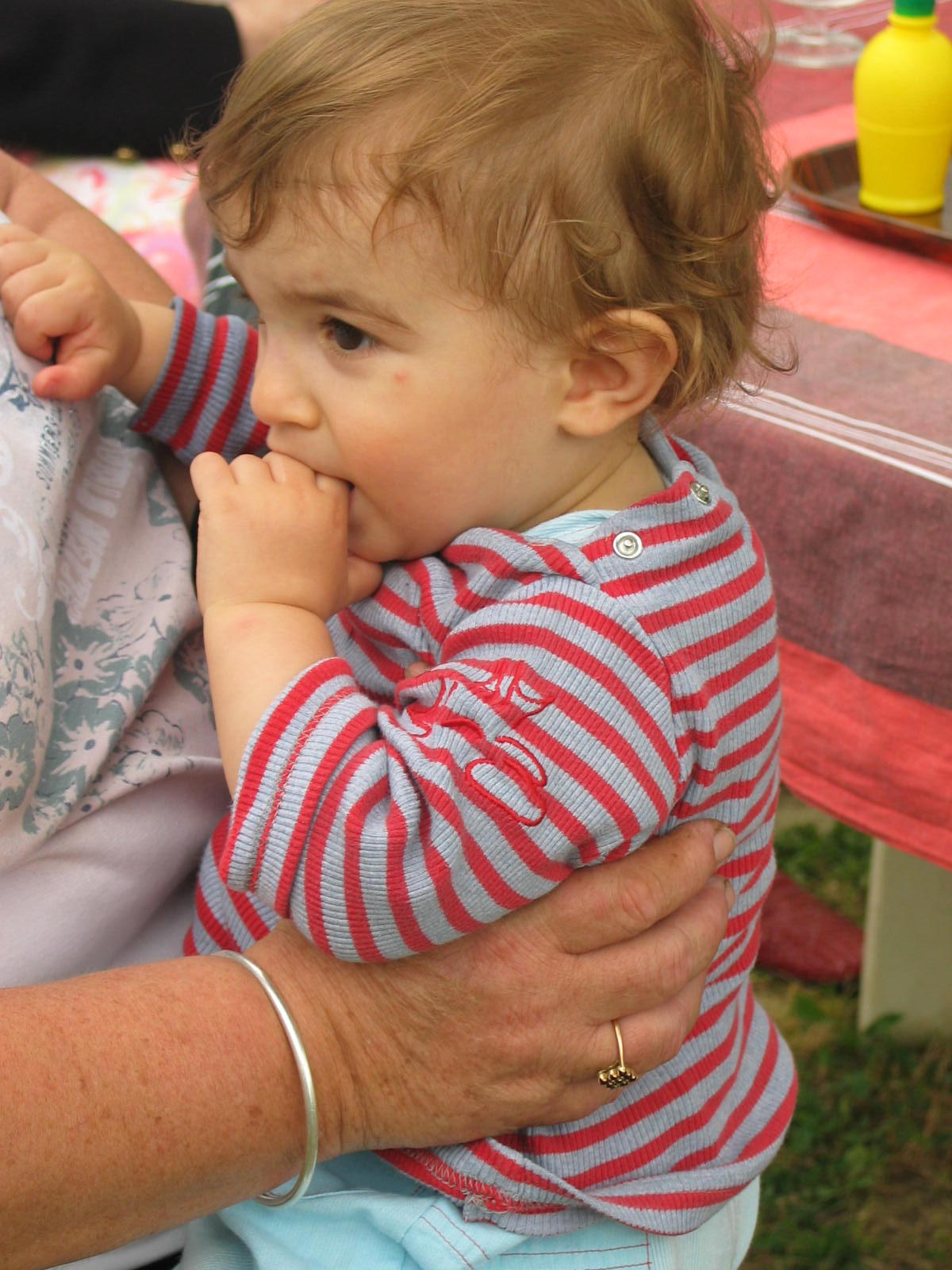 img_9895.jpg