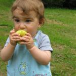 img_9772.jpg