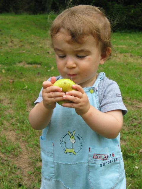 img_9773.jpg