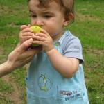 img_9775.jpg
