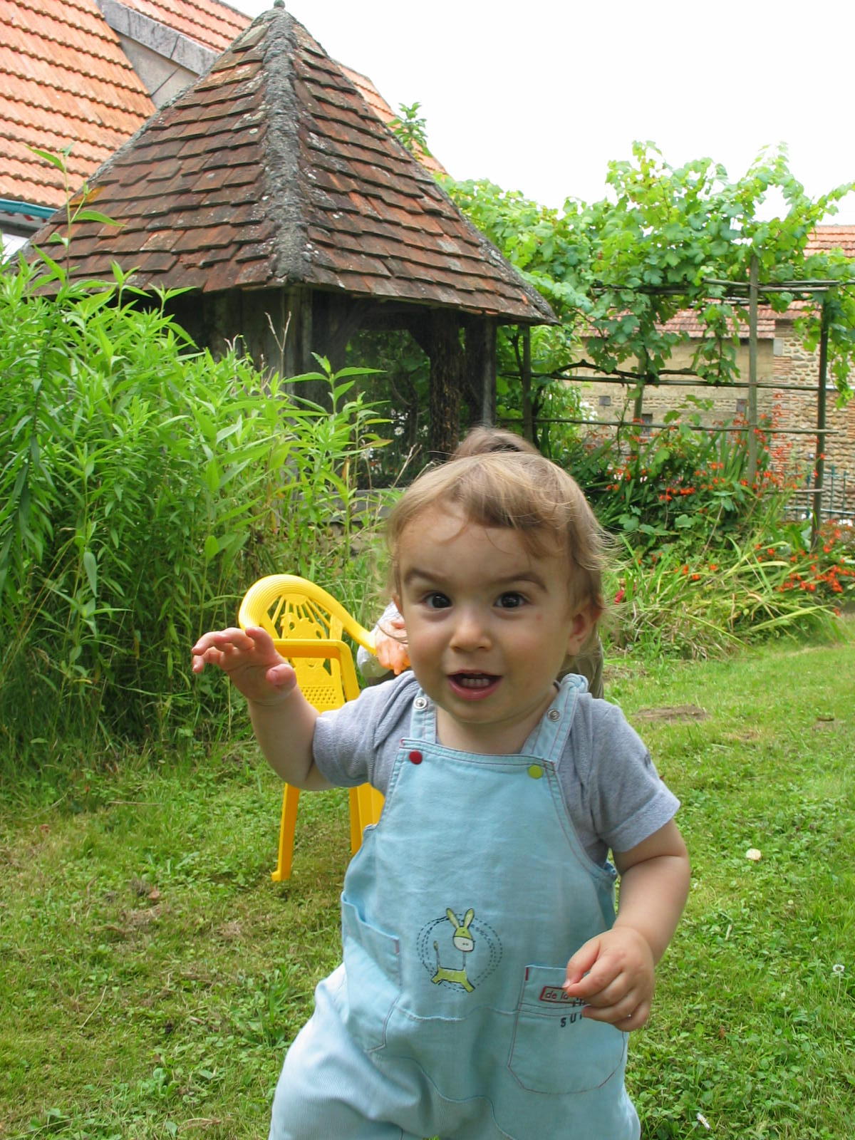 img_9797.jpg