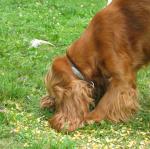 img_9823.jpg