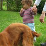 img_9829.jpg