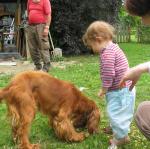 img_9833.jpg