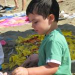 img_0248.jpg
