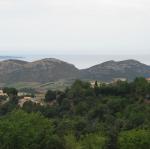 img_0388.jpg