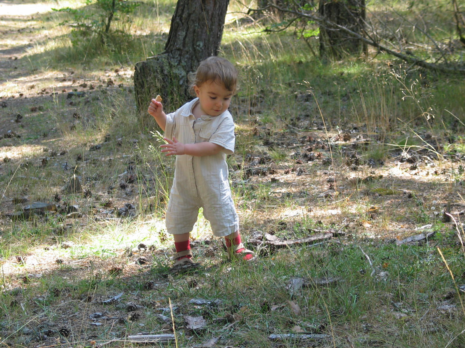 img_0080.jpg