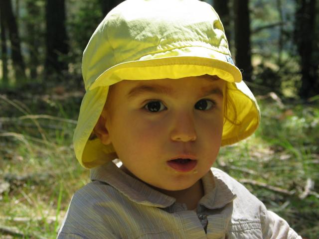 img_0094.jpg