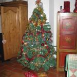 img_0719.jpg