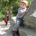 img_1174.jpg