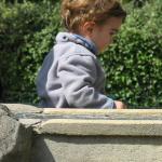 img_1179.jpg