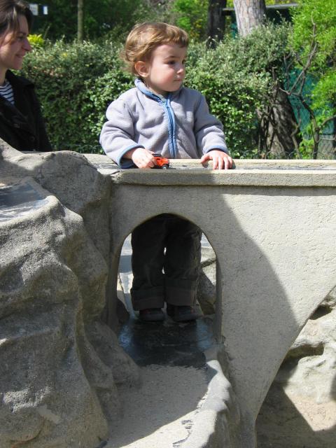 img_1182.jpg