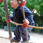 img_1452.jpg