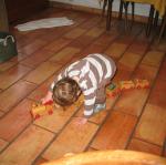 img_1274.jpg