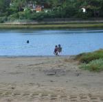 img_1720.jpg
