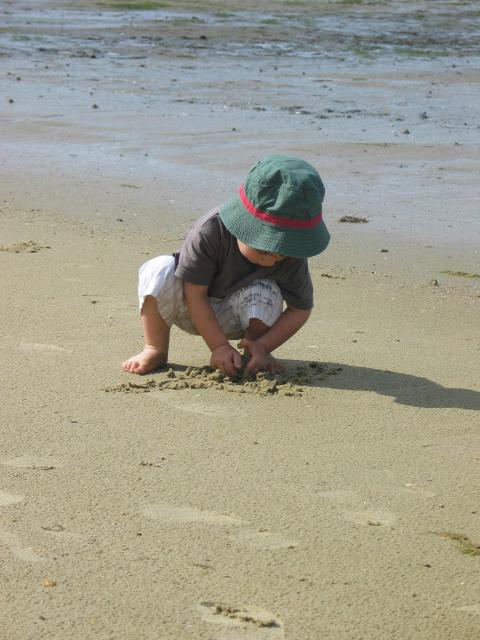 img_1743.jpg
