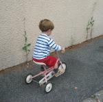 img_1785.jpg