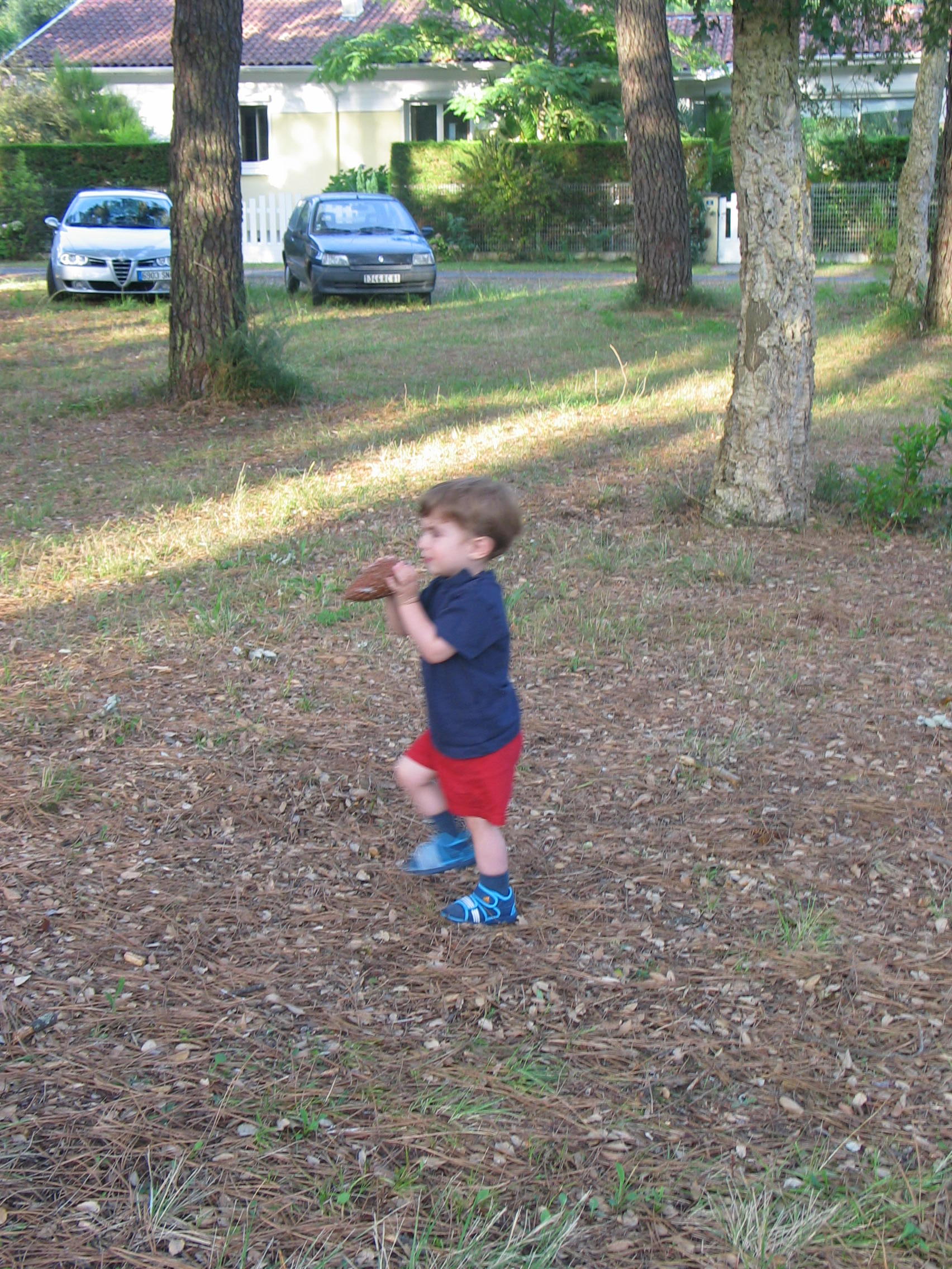 img_1670.jpg