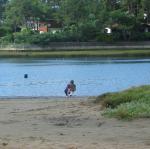 img_1719.jpg