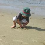 img_1743.jpg