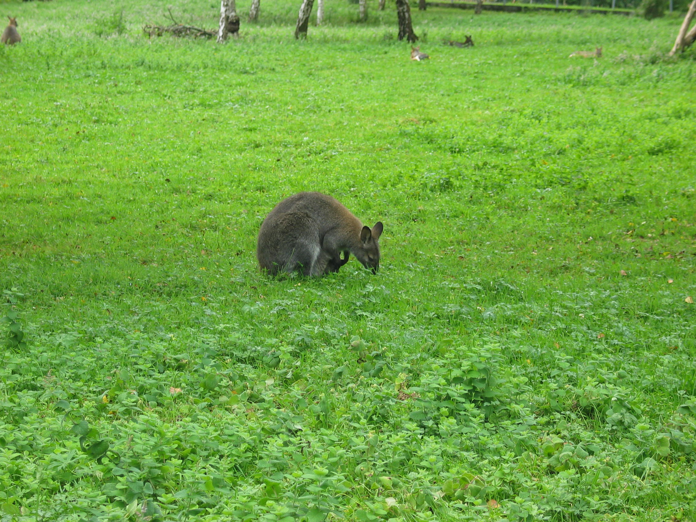 img_1810.jpg
