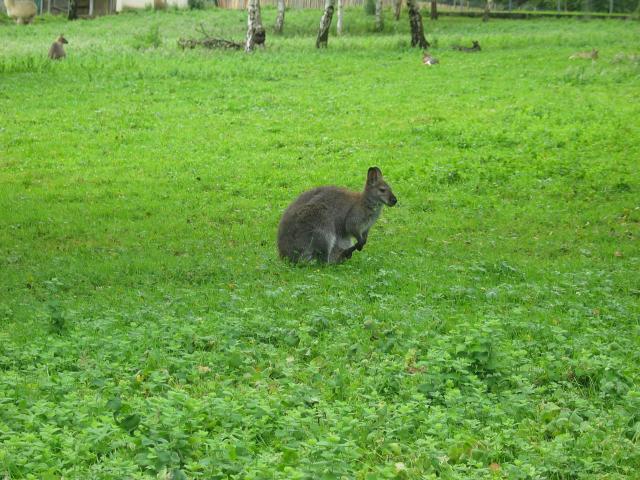 img_1811.jpg