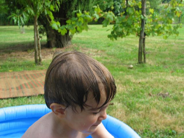 img_1823.jpg