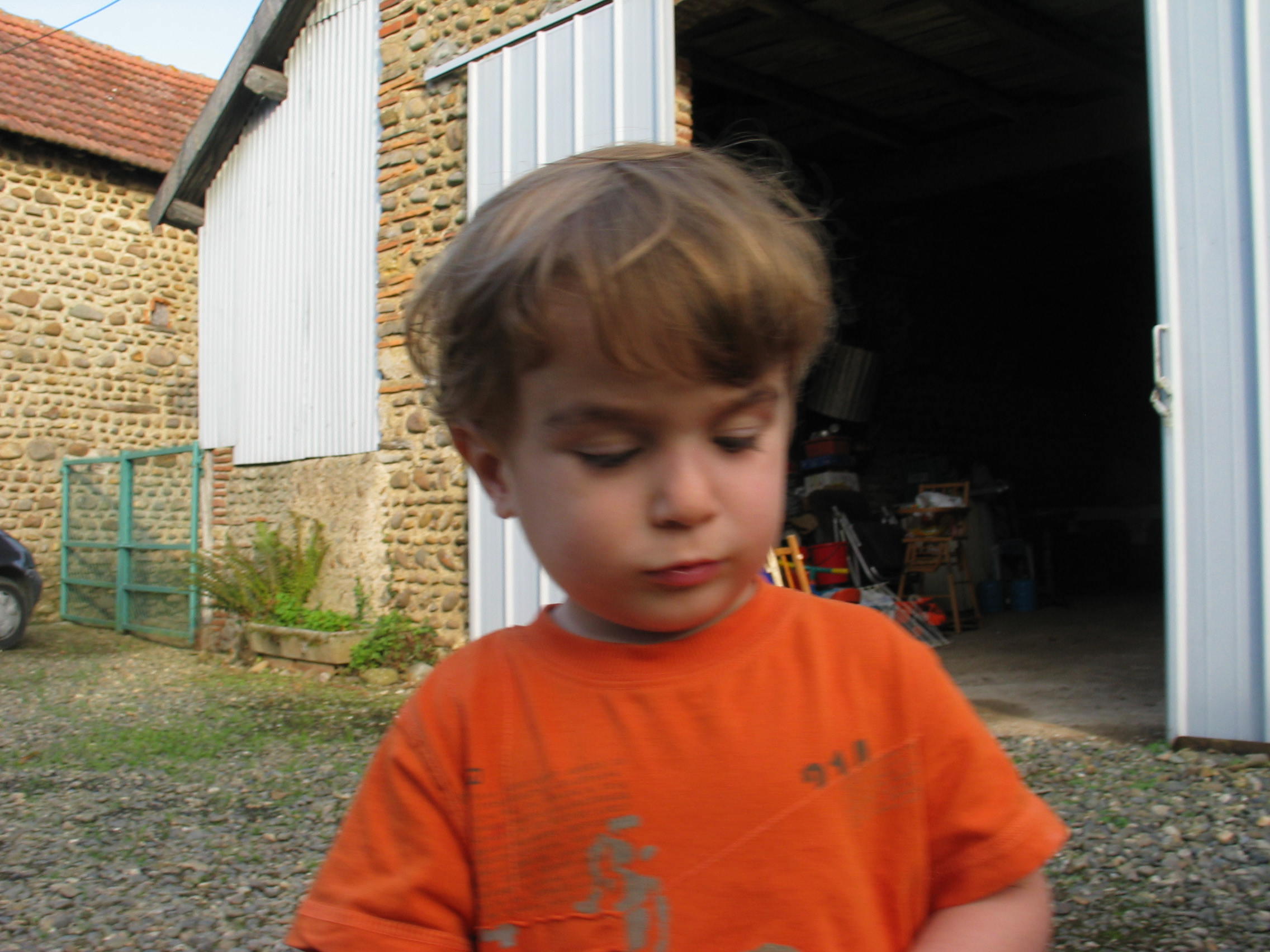 img_1870.jpg