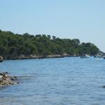 img_2106.jpg