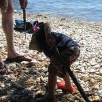 img_2126.jpg