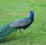 img_1764.jpg