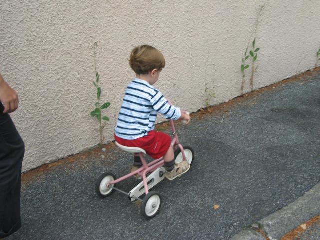 img_1785.jpg