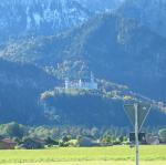 IMG_2311.JPG
