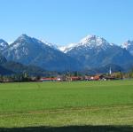 IMG_2313.JPG