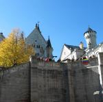 IMG_2341.JPG