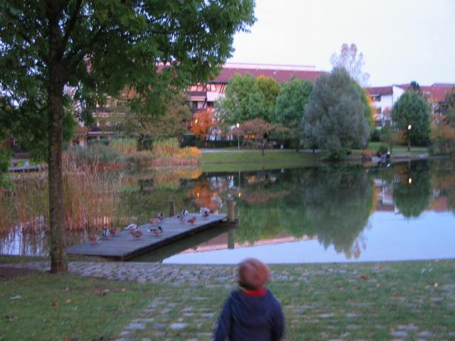 IMG_2253.JPG