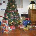 20081225_094558.jpg