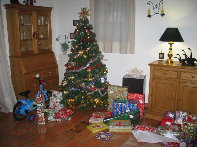 20081225_094947.jpg