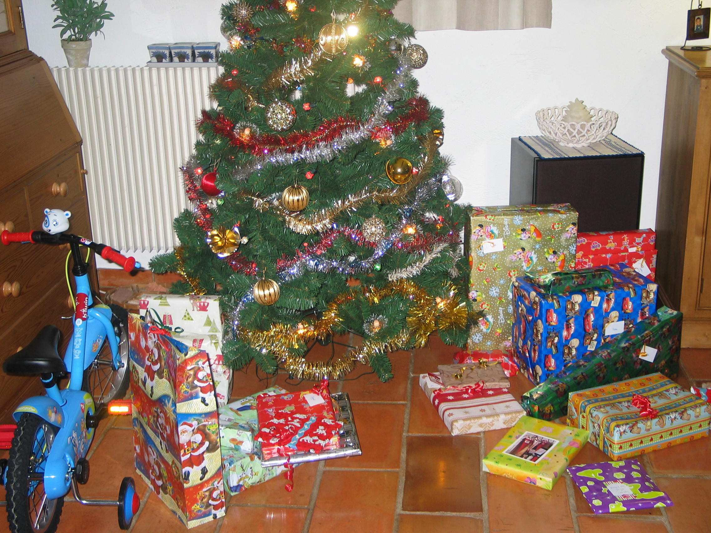 20081225_095008.jpg