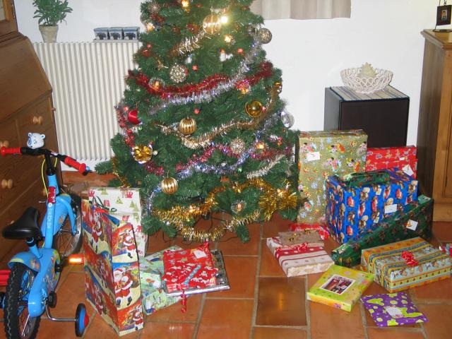 20081225_095008.jpg