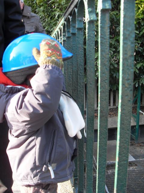 SDC10608.JPG