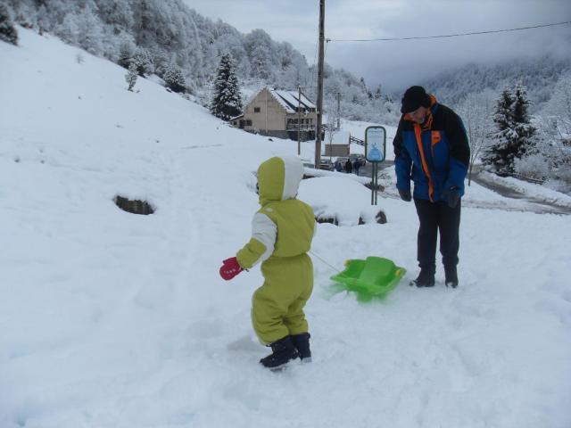 sdc10647.jpg