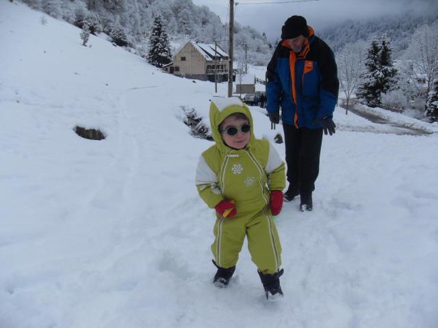 sdc10648.jpg