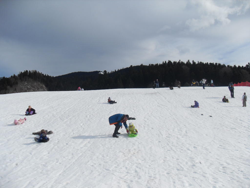sdc10672.jpg